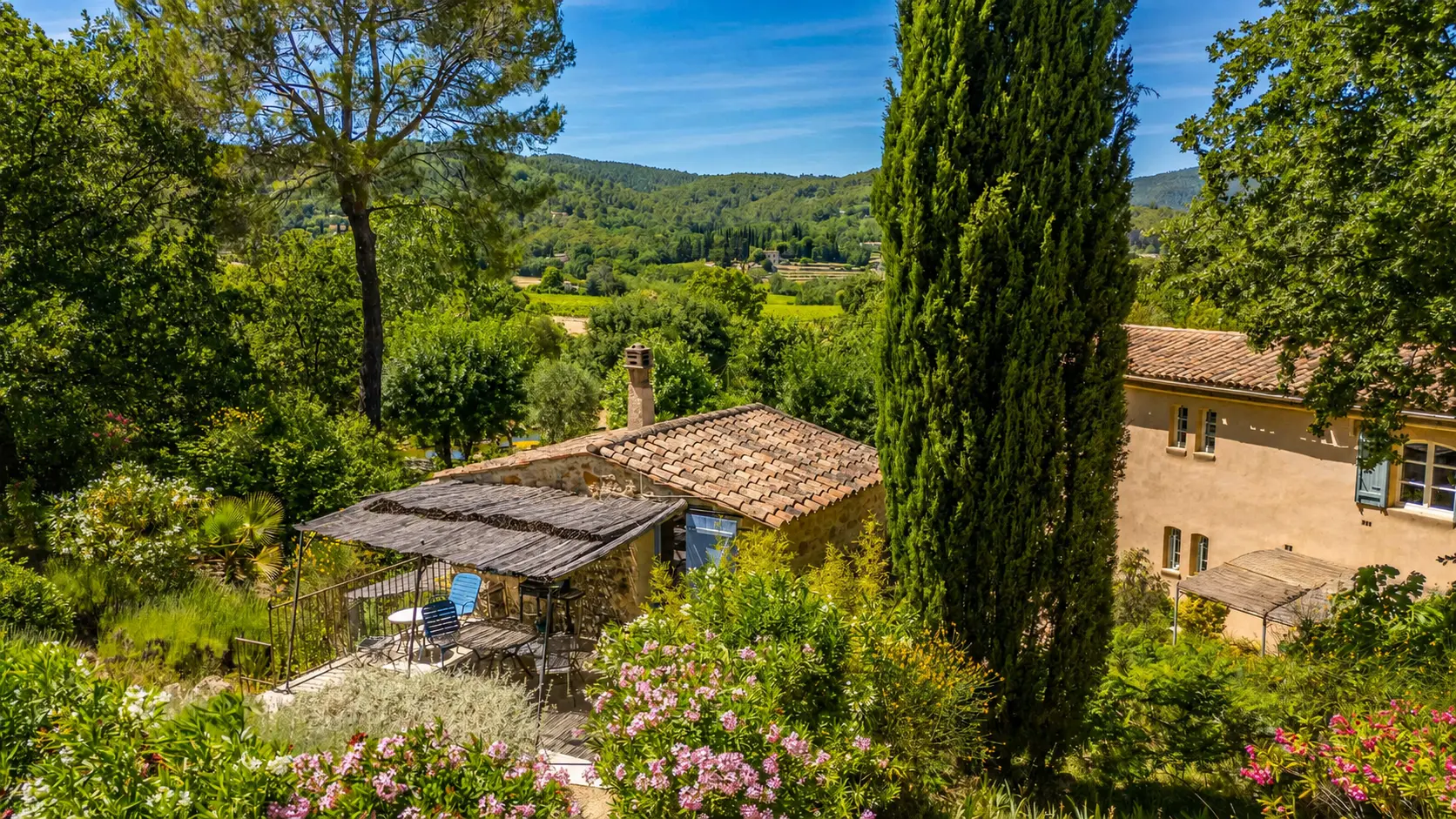 Ancient olive grove above the house
